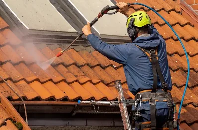 Démoussage et hydrofuge de toiture à Forges de Lanouée